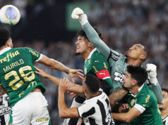 Palmeiras encara Botafogo com liderança do Brasileirão em jogo