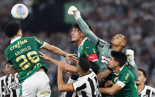 Palmeiras encara Botafogo com liderança do Brasileirão em jogo