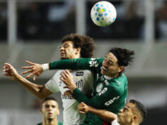 Semifinais da Copa do Brasil terão duelo do Verdão contra o Vasco e acontecem em novembro