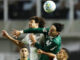 Semifinais da Copa do Brasil terão duelo do Verdão contra o Vasco e acontecem em novembro