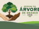 Osasco cumpre extensa agenda em setembro pela Semana da Árvore 2026