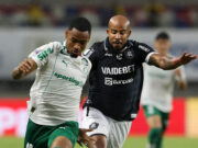 Palmeiras recebe Remo e ‘seca’ para que o Flamengo não desgarre